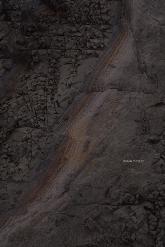 1254620150210DSC_1172