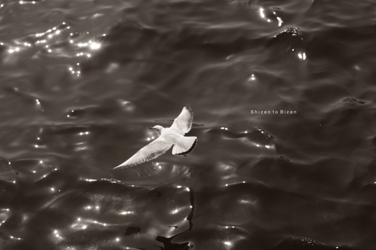 1425920150330DSC_3506