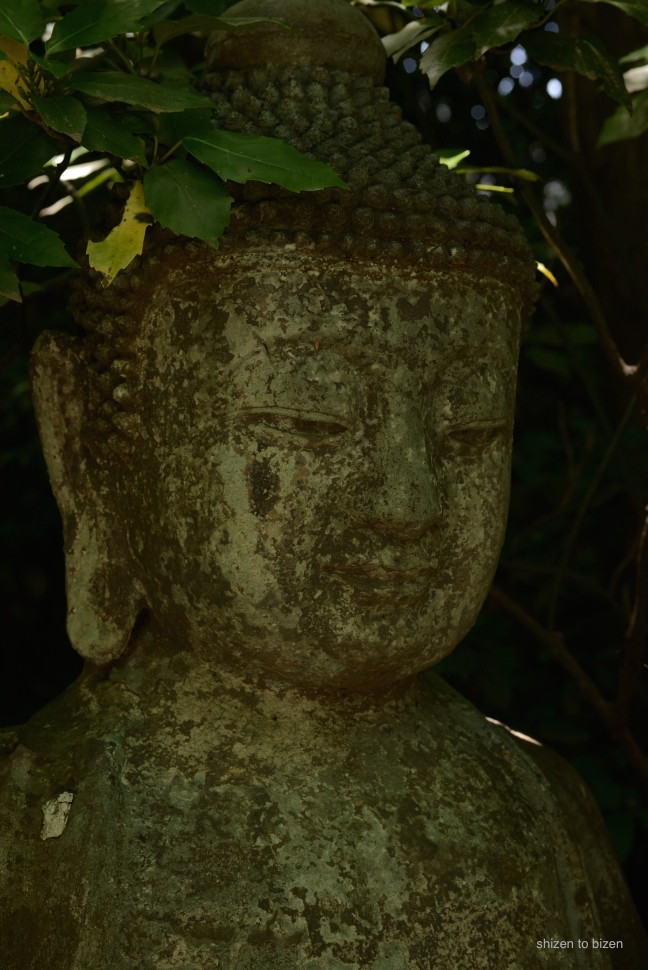 15271nezu2015mayDSC_4819