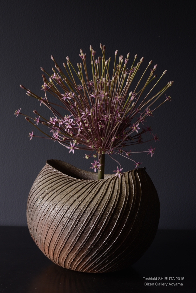 15408shibuta2015exDSC_4985