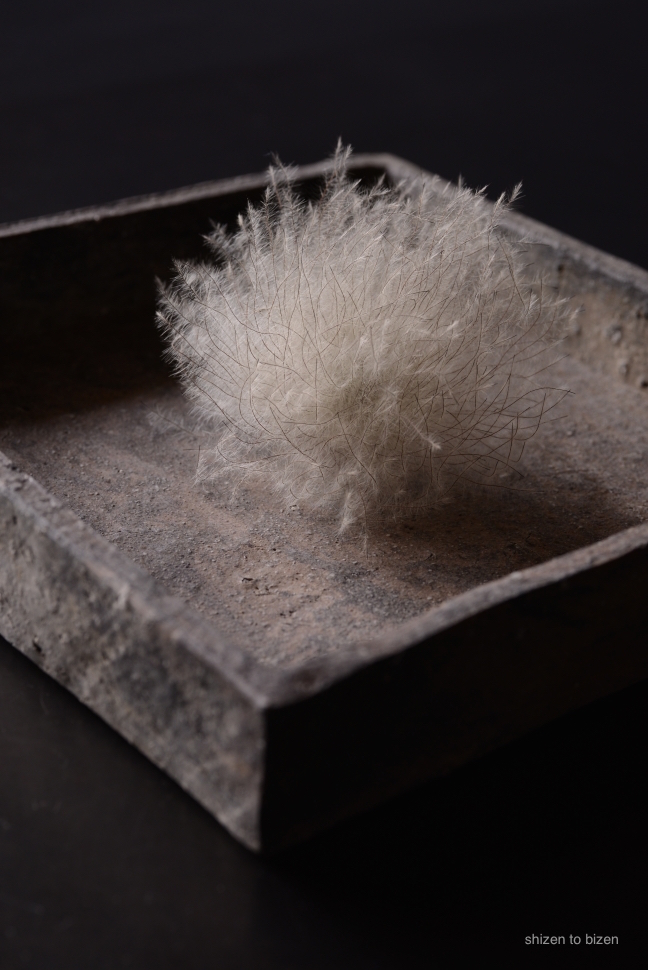 15865shibuta2015exDSC_5646