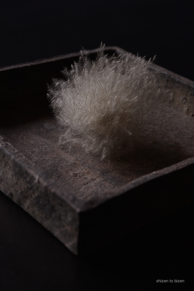 15868shibuta2015exDSC_5650