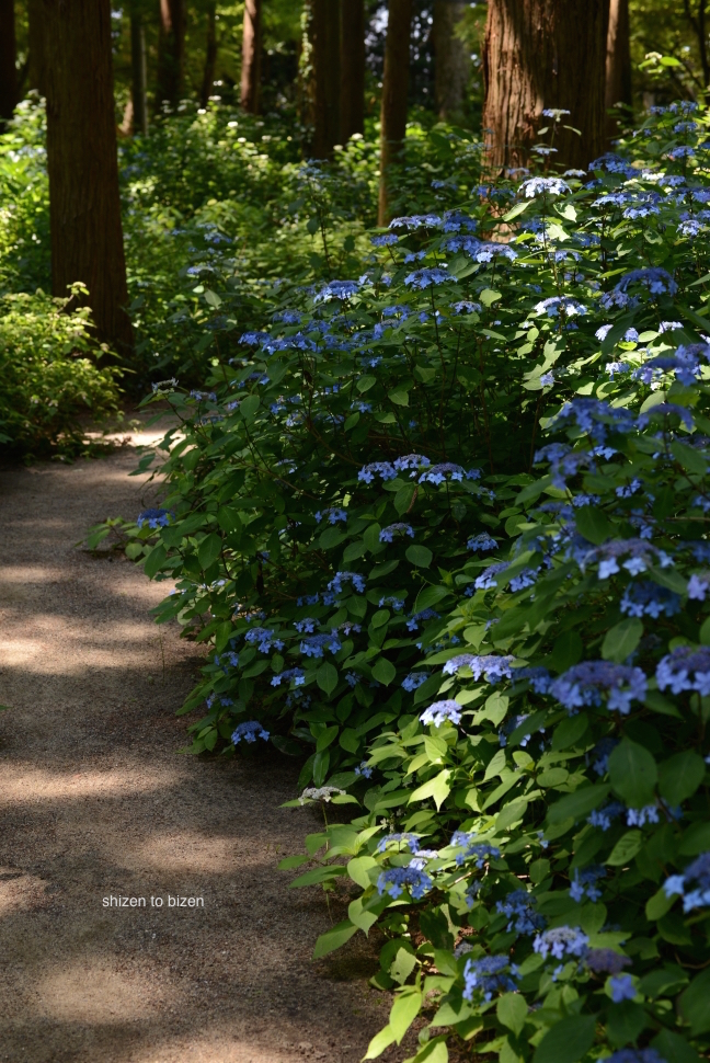 1606220150601DSC_5903