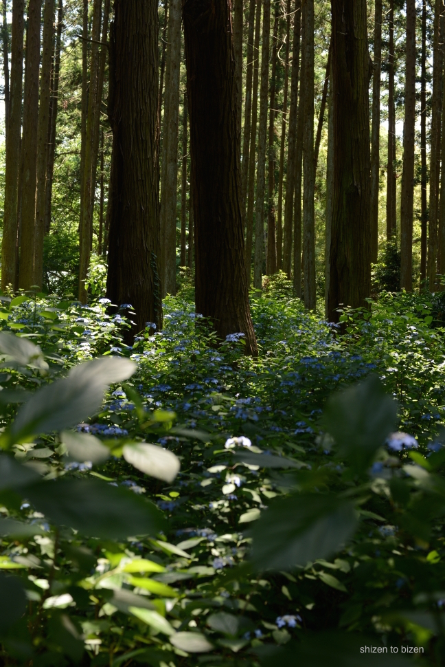 1608620150601DSC_5941