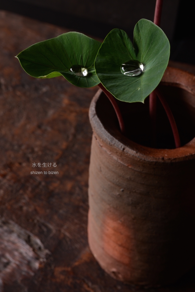 16399lotuswdiDSC_6369