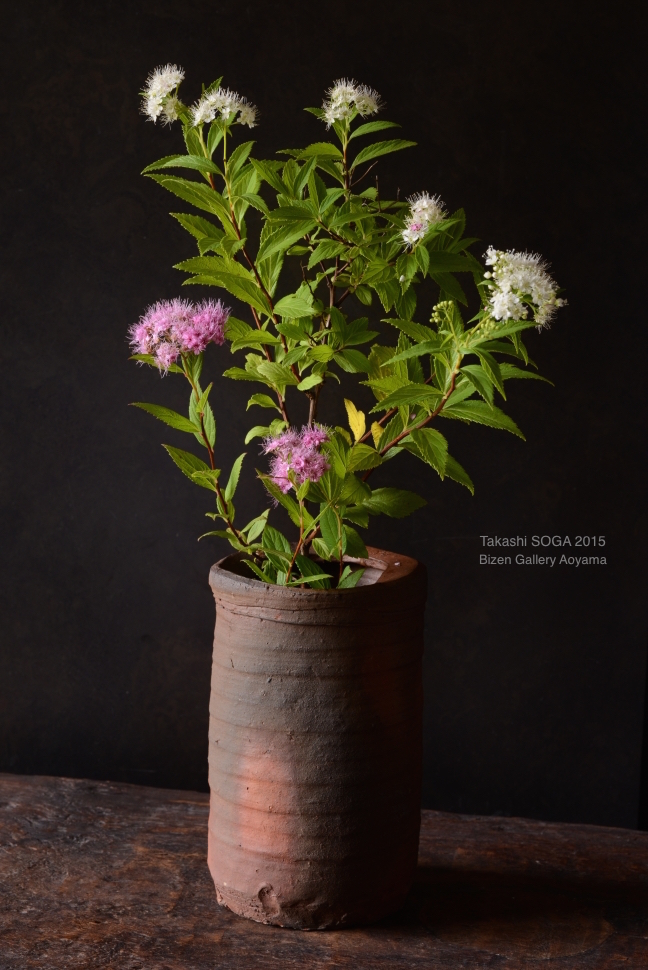 164172015sogahiDSC_6394