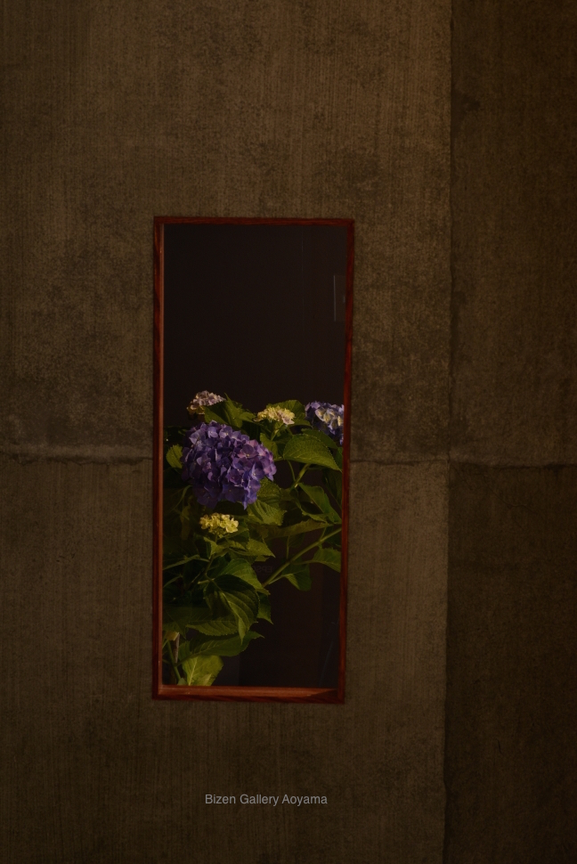 1645120150611DSC_6449