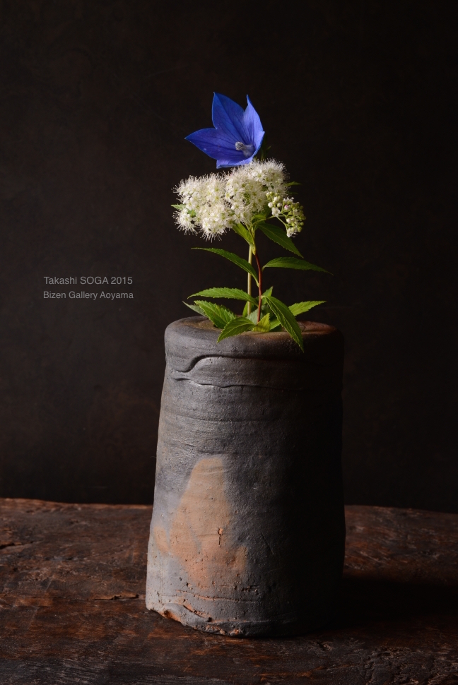 164582015sogahiDSC_6460