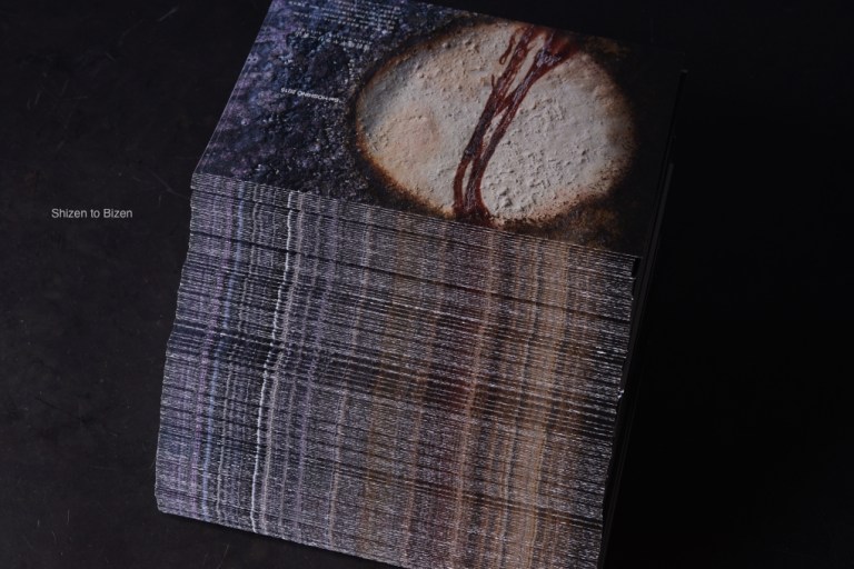 1646320150611DSC_6471