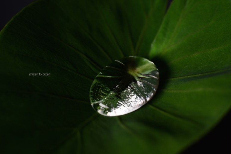 1663120150617DSC_6721