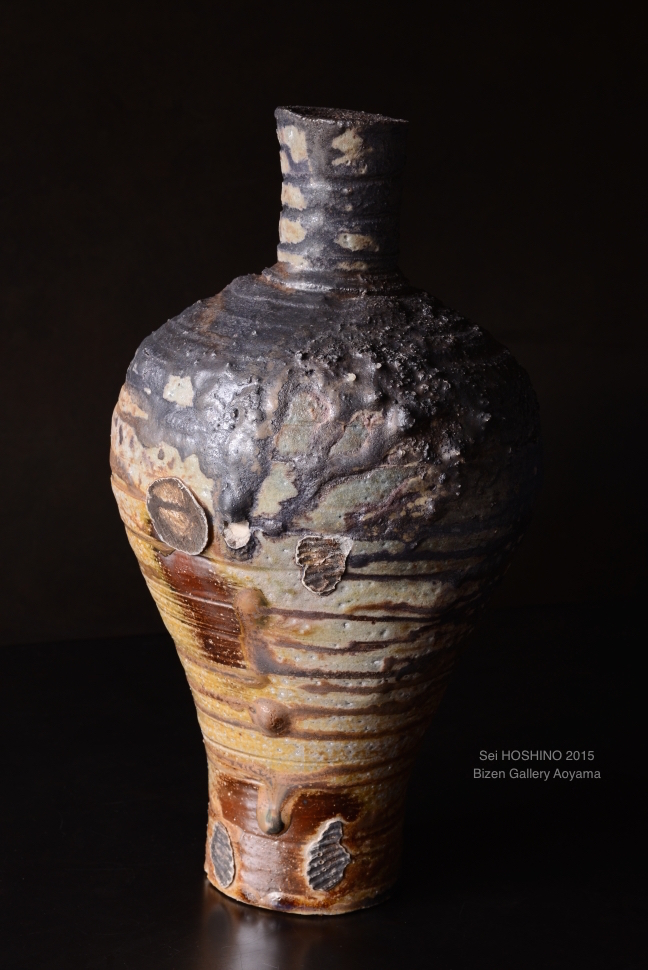 166802015hoshinoexDSC_6786