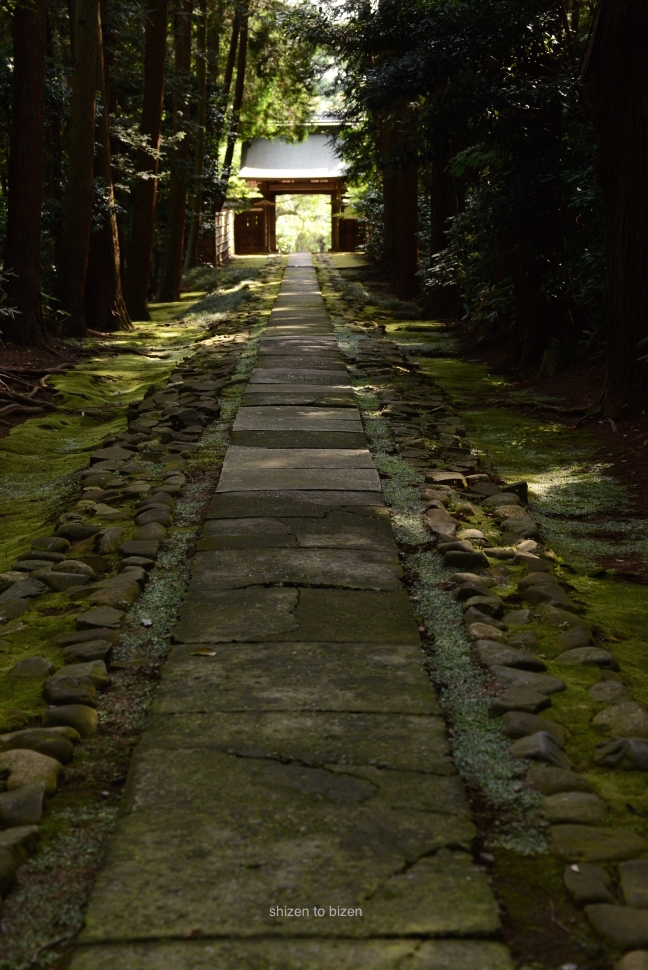 1693020150622DSC_7162