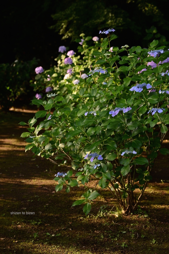 1693720150622DSC_7190