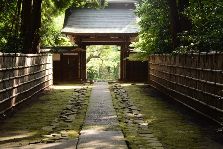 1696520150622DSC_7169