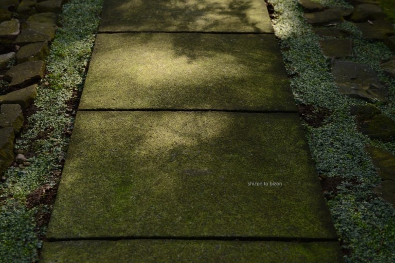 1696720150622DSC_7178