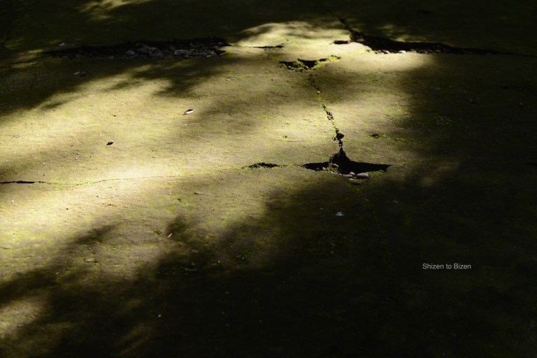 1697120150622DSC_7183