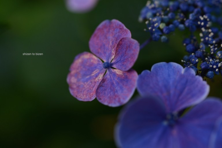 1698820150622DSC_7216