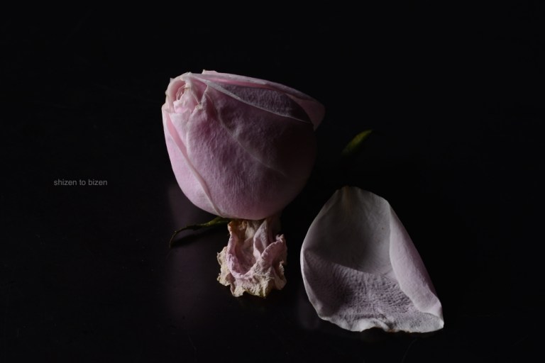 1705620150626DSC_7308