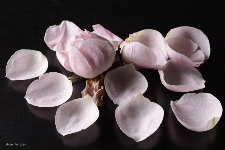 1706220150627DSC_7325