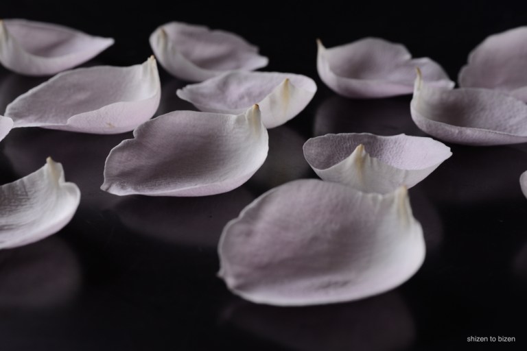 1707020150627DSC_7334