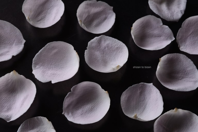 1707220150627DSC_7336