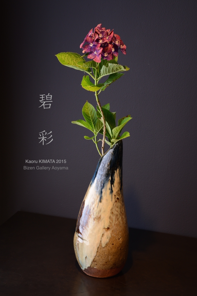 17384kimata2015exDSC_7876