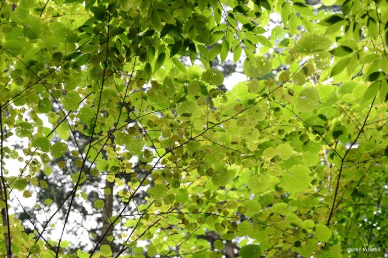 1799820150727DSC_8751