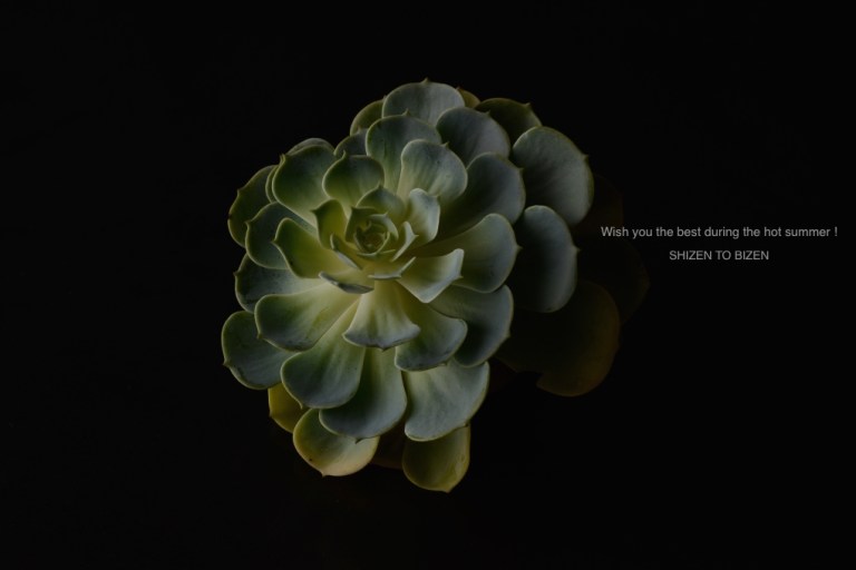 18355tanikuiDSC_9031