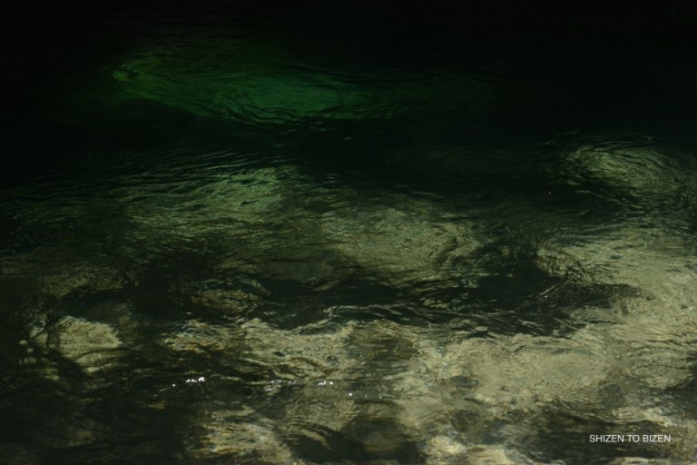 1852520150803DSC_9501