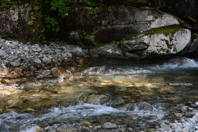 1853220150803DSC_9522