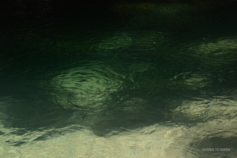 1855720150803DSC_9557