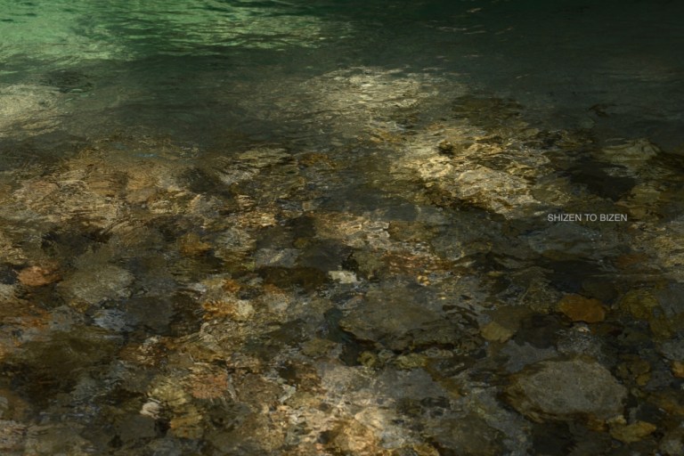 1862320150803DSC_9675