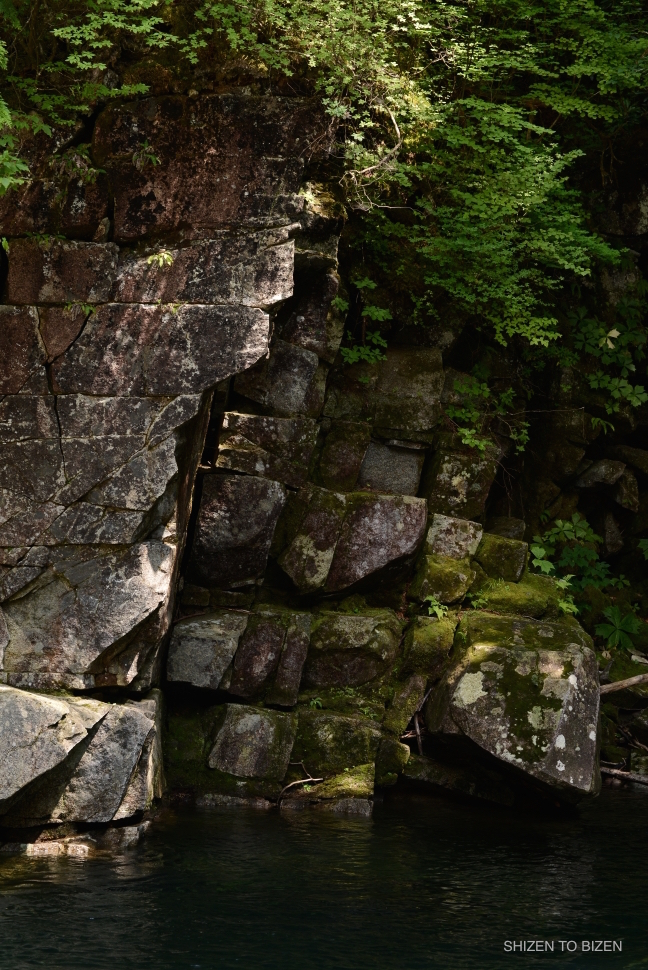 1867720150803DSC_9558