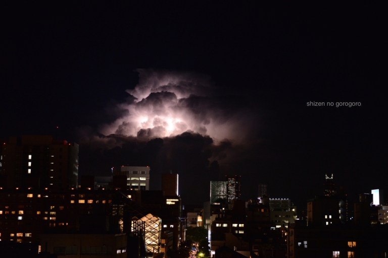 18745kaminariDSC_9808