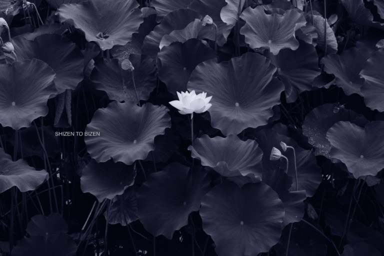 18918hasu0816DSC_0168