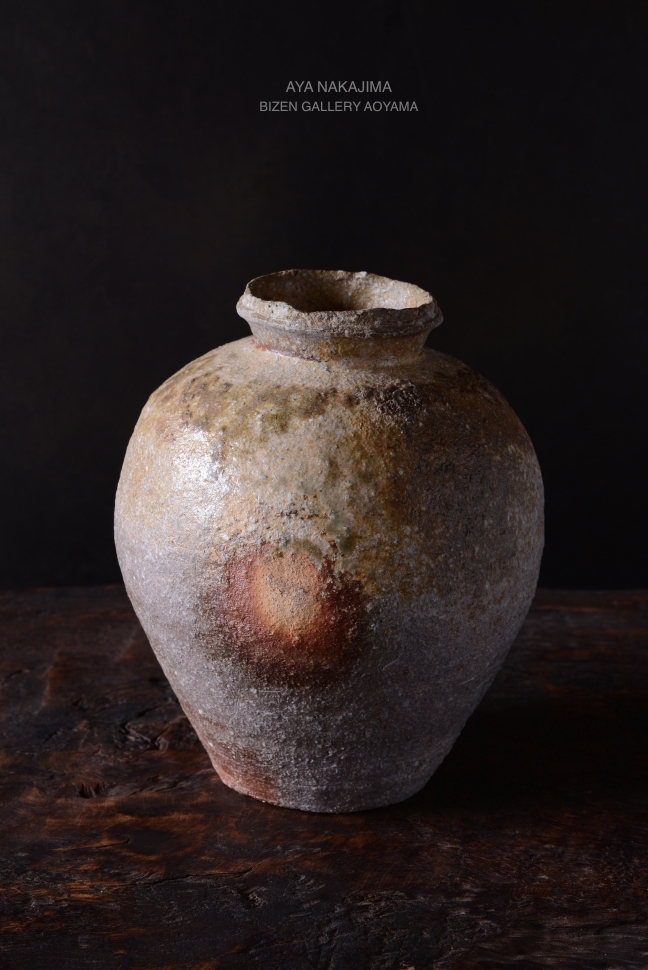 19580shigarakitsuboDSC_0960