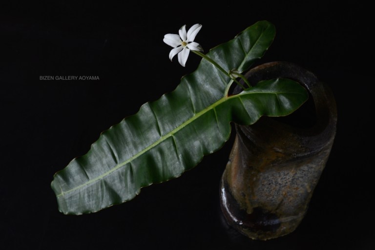 2008020150928DSC_1738