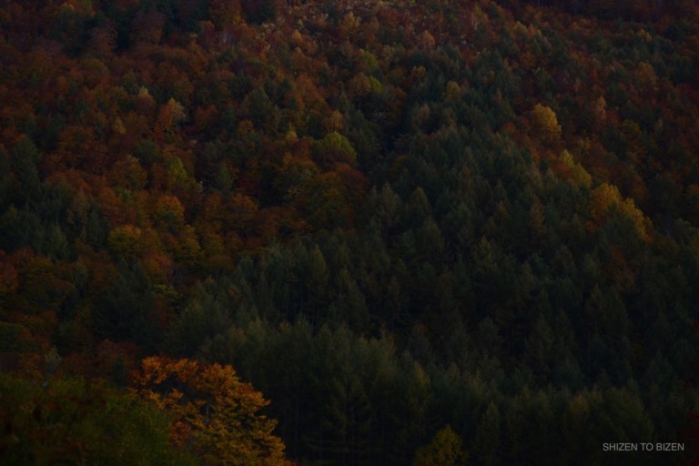 2039620151012DSC_2181