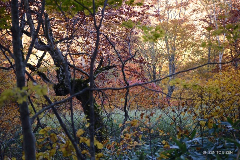 2040820151012DSC_2230