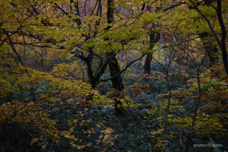 2040920151012DSC_2231