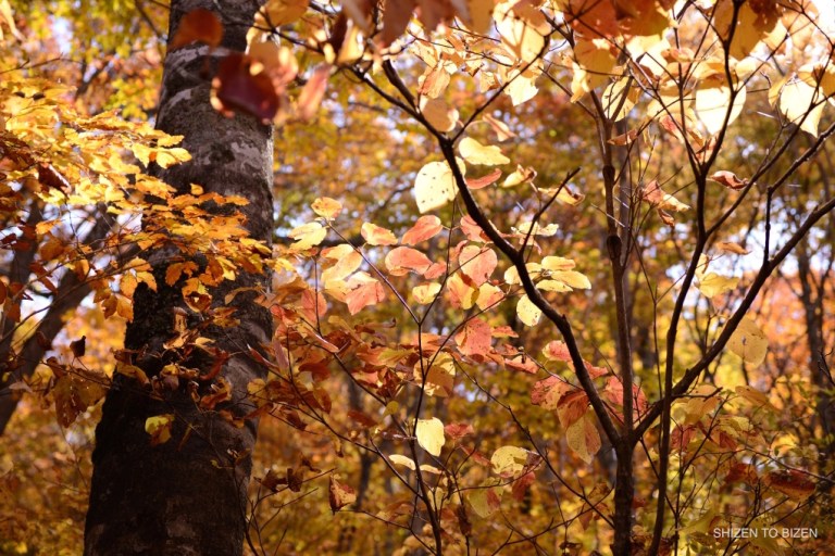 2042620151012DSC_2301