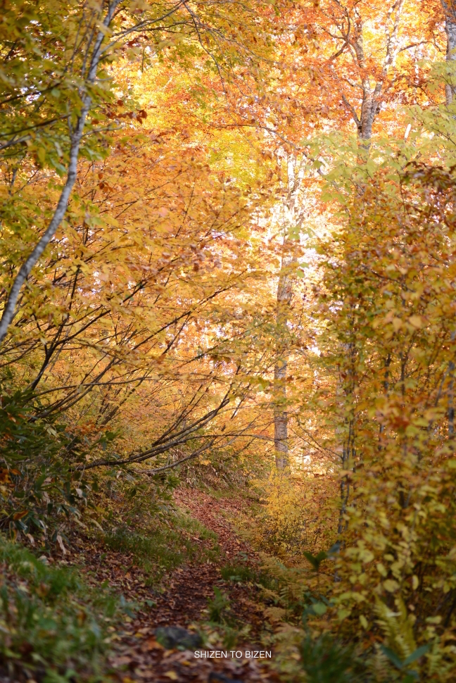 2044520151012DSC_2209