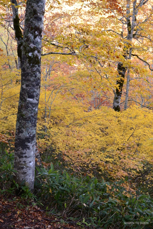 2045420151012DSC_2245