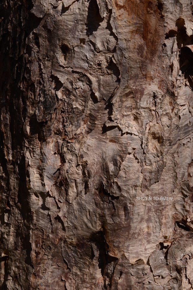 2047020151012DSC_2290