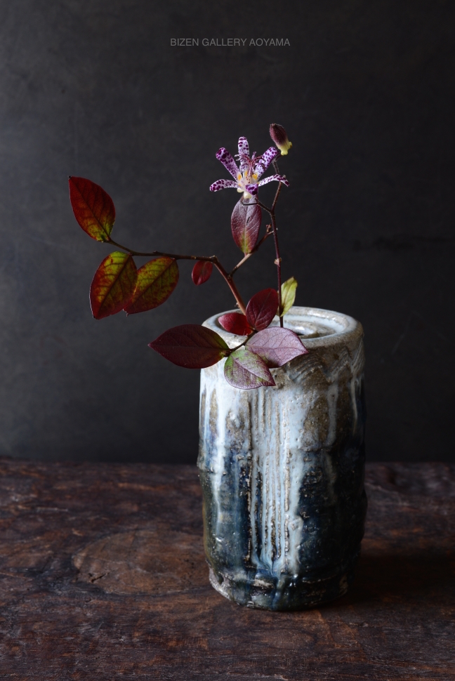 20523kakehanaDSC_2388