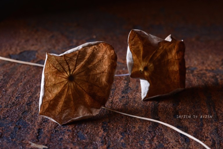 20963sabisugiDSC_3203