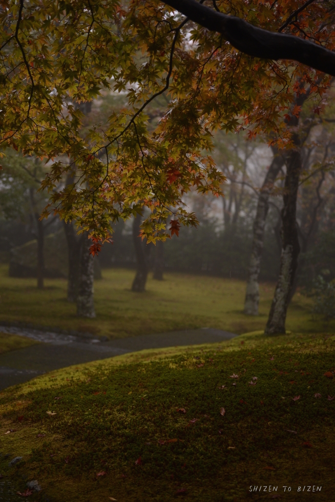 21035hakone2015nDSC_3305