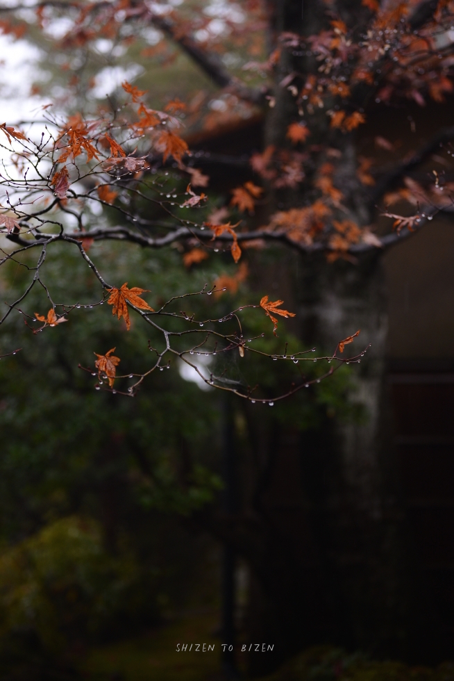 21052hakone2015nDSC_3333