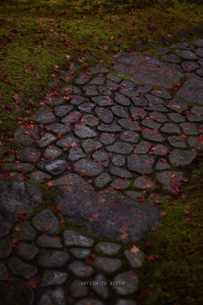 21056hakone2015nDSC_3337