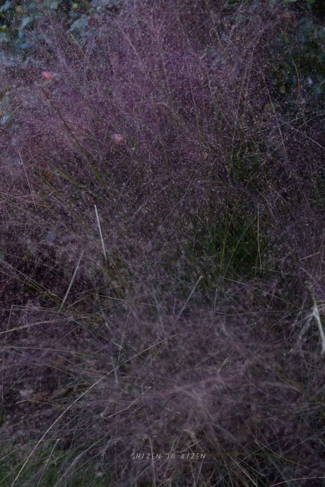 21122hakone2015nDSC_3495